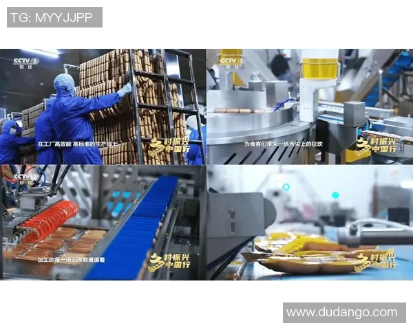 红桃国际品质保障助力全球消费者享受高标准生活体验