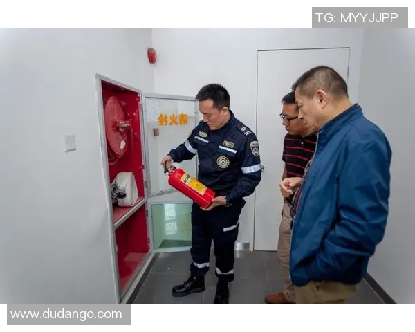 构建红桃国际安全体系助力全球安全合作与发展新模式