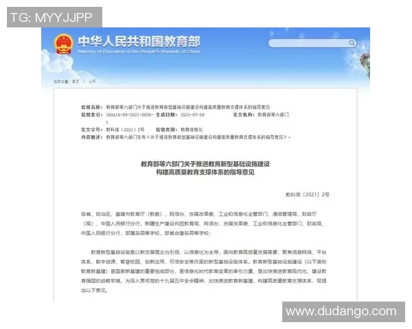 红桃国际代码质量管理体系的构建与实践探索分析