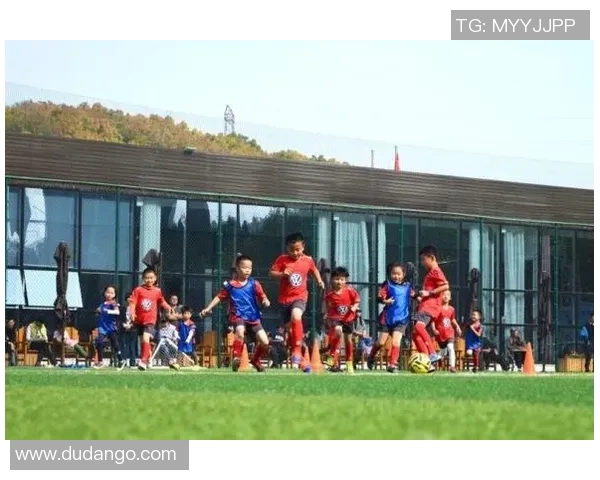 熊猫体育智能训练规划助力青少年全面提升运动能力与健康素养