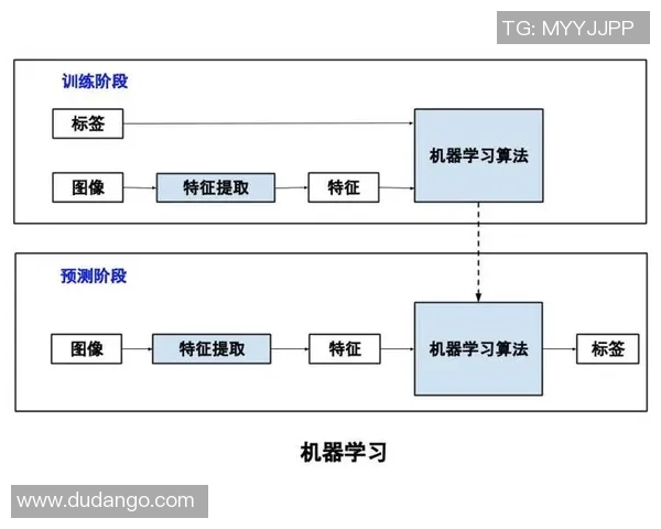 红桃国际在对抗性机器学习领域的创新探索与应用实践分析