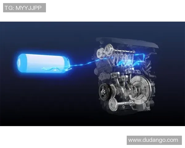 探索uu国际动态分片技术在全球数据传输中的应用与前景分析