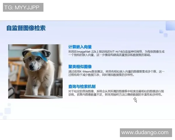 耀世娱乐自监督学习在无标签视频数据预训练模型的创新研究与应用探索