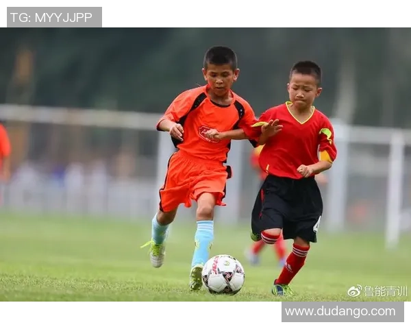 48队赛制全面评估报告:优势分析问题探讨及优化建议分享